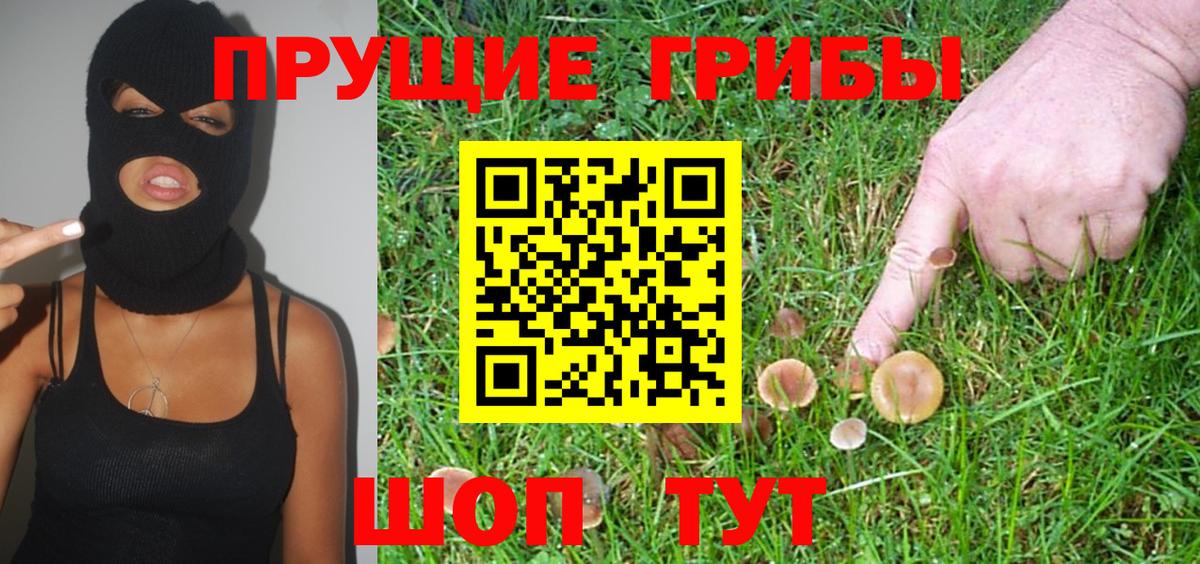 Галлюциногенные грибы Psilocybine cubensis  Вход с VPN  Егорьевск  Псилоцибиновые грибы Magic Shrooms 
