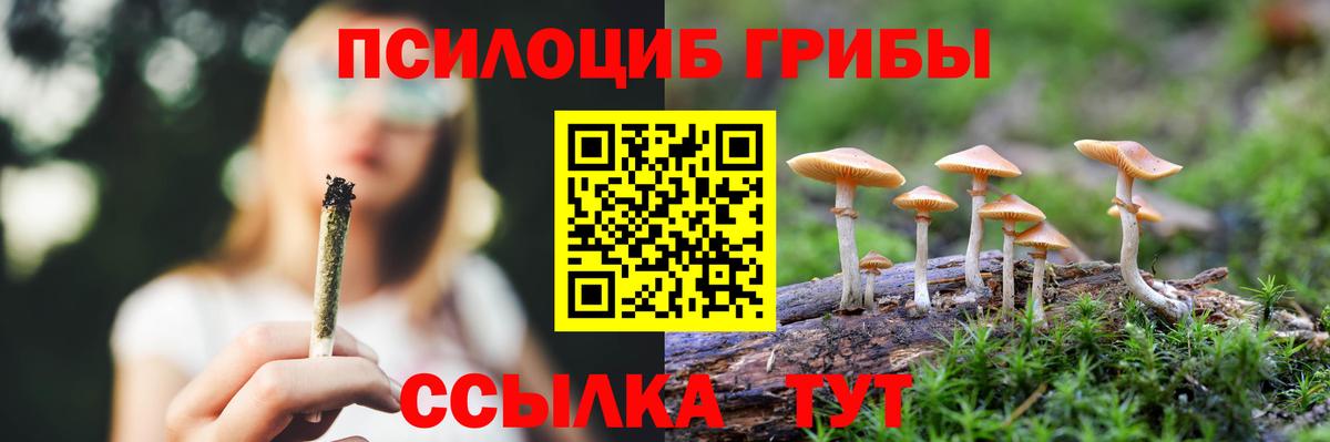 Галлюциногенные грибы мицелий Егорьевск