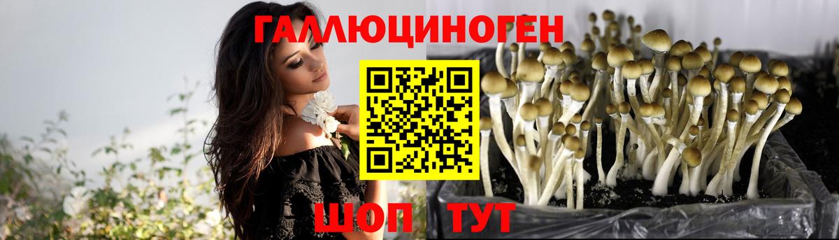  Cocaine Егорьевск